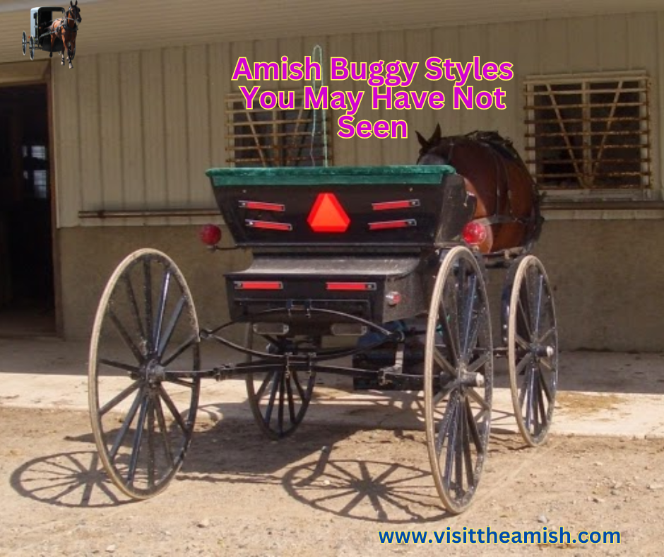 Amish Buggy Styles You May Have Not Seen