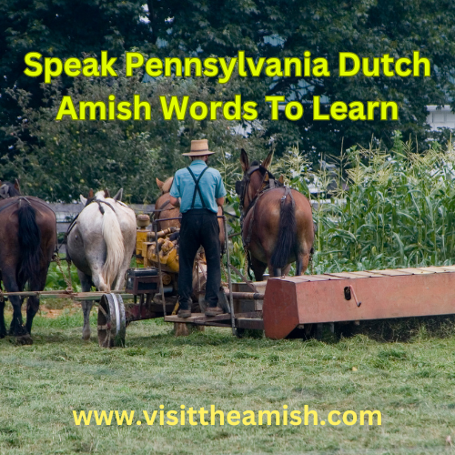 Speak Pennsylvania Dutch - Amish Words To Learn