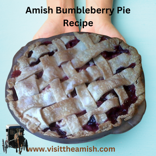 Amish Bumbleberry Pie