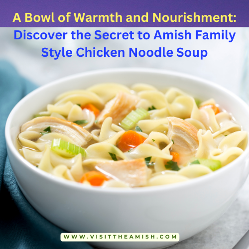 A Bowl of Warmth and Nourishment: Discover the Secret to Amish Family Style Chicken Noodle Soup