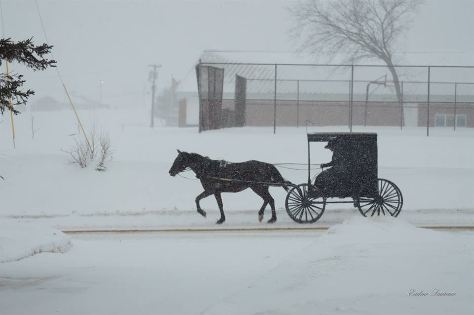 Amish Christmas