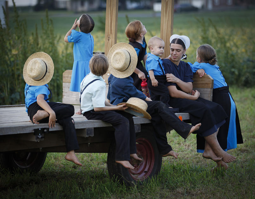 Delightful Amish Family