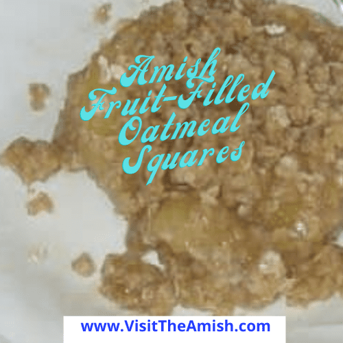 Amish Fruit-Filled Oatmeal Squares