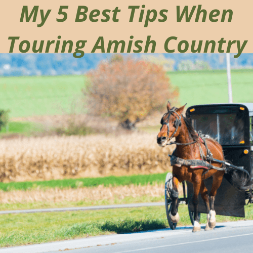 My 5 Best Tips When Touring Amish Country