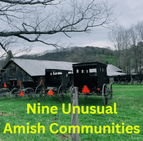 9 unusual amish communities