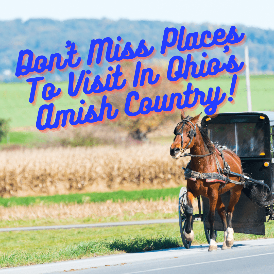 Don't Miss Places To Visit In Ohio's Amish Country!