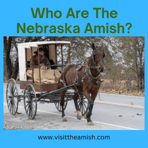 Who Are The Nebraska Amish?