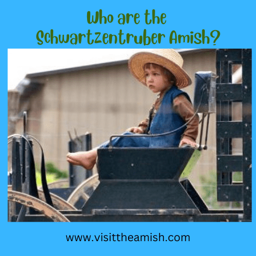 Who Are the Schwartzentruber Amish?