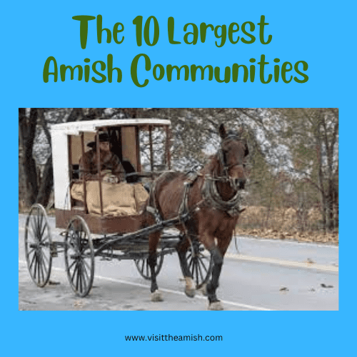 The 10 Largest Amish Communities