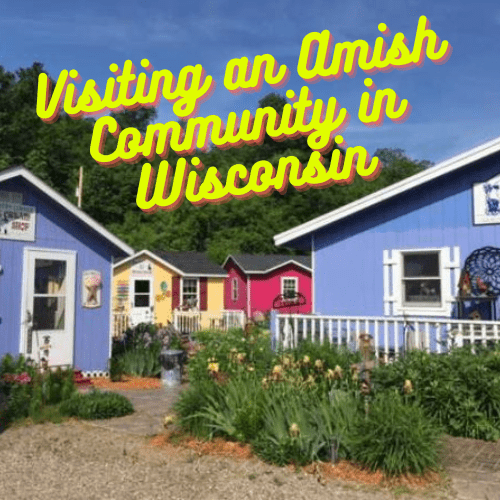 ashton, WI - Home to the Largest Amish Community in Wisconsin cashton wisconsin Located in the Ocooch Mountains, Cashton is home to the largest Amish community in Wisconsin. The village is also close to the Kickapoo River and Wildcat State Park. It is also a great place to explore the historic churches and specialty shops. Cashton is a great place to visit during the hot weather months of June to early August. During this period, the temperatures are in the low to mid-70s. However, the comfort level is muggy at least eight percent of the time. Cashton is home to an excellent school system. The city also has an exceptional community health center. Cashton also has a large military population, with a high percentage of veterans. Cashton also has a strong economy. Compared to the US average, Cashton, WI has lower unemployment. Cashton has a mixed year round climate. The temperature is a little bit cooler in the winter and a little warmer in the summer. The weather is mostly overcast or mostly cloudy 60% of the time. The sun shines for about seven hours on average every day. The average high temperature is around 25degF. The average low is 9degF. Cashton's wet season lasts from April to October. The average precipitation in this period is 0.04 inches of liquid. The snowless period lasts from April to November. The least snowfall falls around July 18. During this period, Cashton experiences extreme seasonal variation in monthly rainfall. Cashton is home to a number of different lodging options. It is close to Wildcat State Park and the Elroy/Sparta Bike Trail. Cashton also has many cheese factories and bakeries. The Badger Crossing Pub & Eatery is a popular spot in Cashton. The restaurant has been family owned since 2005.