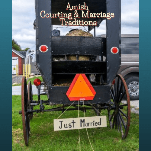 Amish wedding