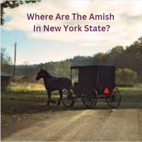 Where are the Amish in New York?