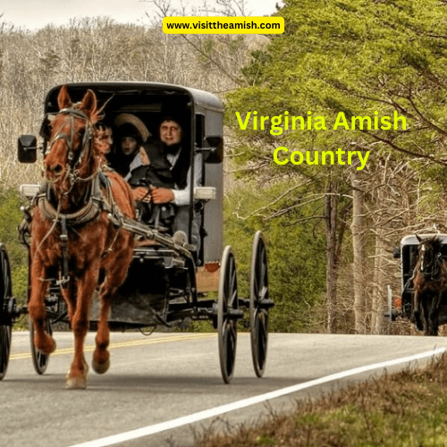 Where Are the Amish in Virginia?