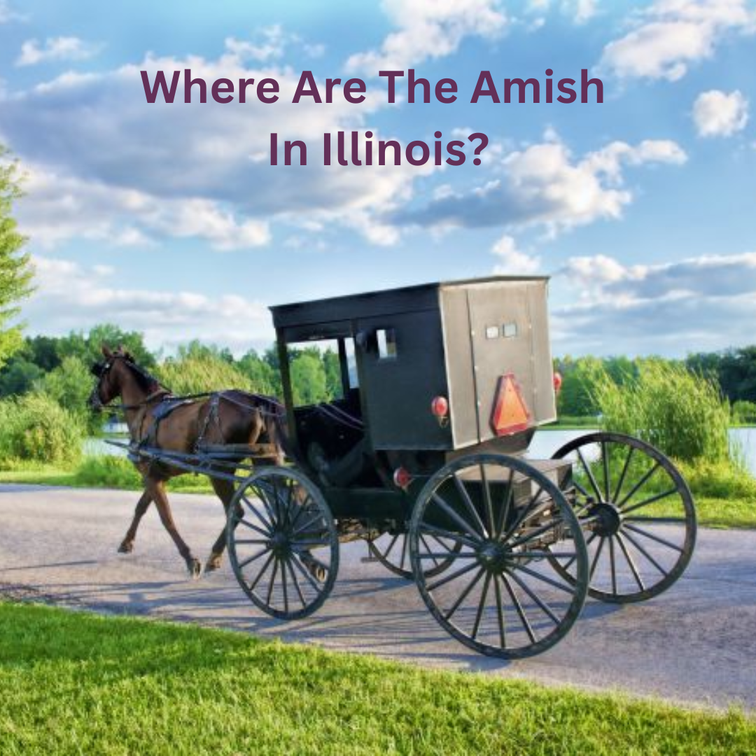 Amish In Illinois