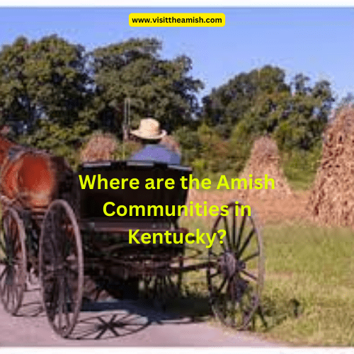 Where are the Amish Communities in Kentucky?