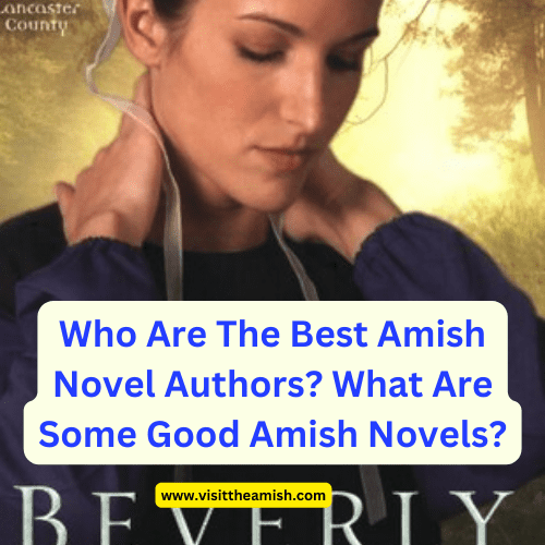 Who Are The Best Amish Novel Authors? What Are Some Good Amish Novels?