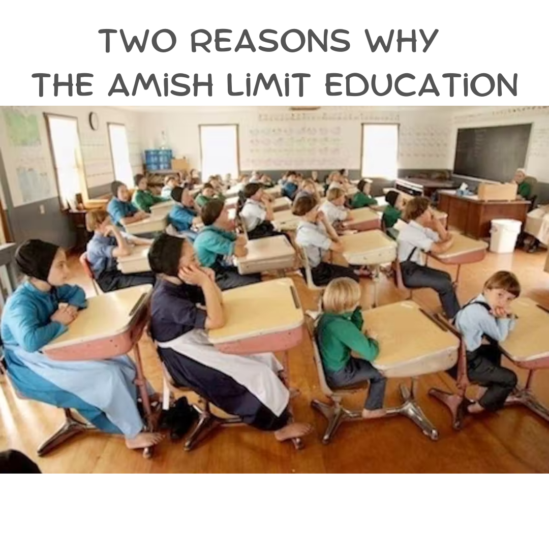 Two Reasons Why The Amish Limit Education