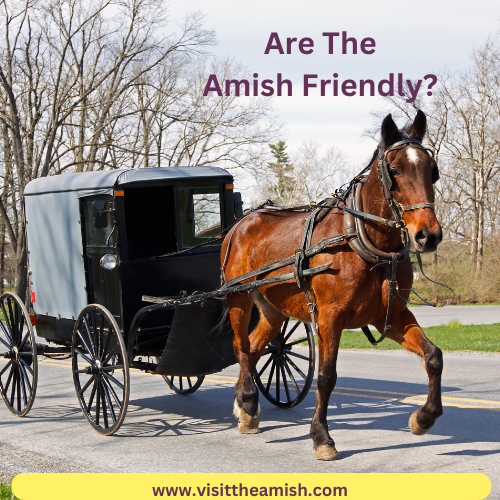 Are The Amish Friendly?