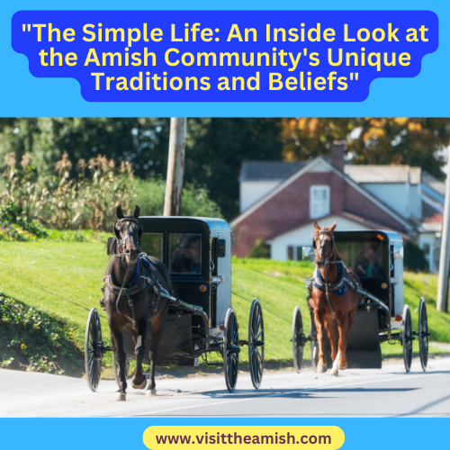 In conclusion, the Amish way of life is a unique and intriguing example of how a community can navigate the complexities of modernity while maintaining traditional values and ways of life. Their approach to technology, characterized by its selectivity and emphasis on tradition, has allowed them to maintain their values and way of life in the face of rapid technological advancement. Their strong emphasis on simplicity, humility, and community serves as a foundation for all aspects of their way of life, from their approach to business and education to their approach to governance and healthcare. The Amish way of life may not be for everyone, but it serves as an example of how it is possible to live a fulfilling and meaningful life while rejecting certain aspects of modern technology and culture.