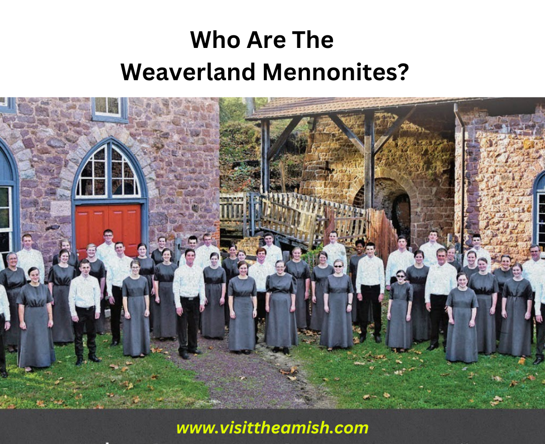 The Weaverland group is a subgroup of the Old Order Mennonite community, known for their adherence to traditional Mennonite beliefs and practices. They are often referred to as the "Weaverland Old Order Mennonites" or simply "Weaverland Mennonites". They are similar to other Old Order Mennonite groups, such as the "black bumper" Mennonites, in that they reject many aspects of modern technology and maintain a more traditional lifestyle.