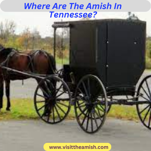 Where Are The Amish In Tennessee?