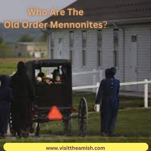 Old Order Mennonites