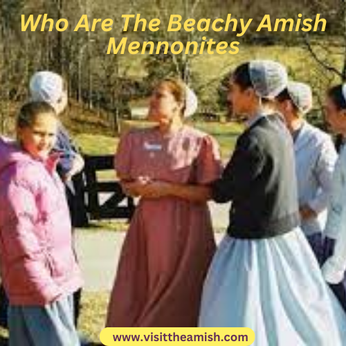 Who-Are-The-Beachy-Amish-Mennonites