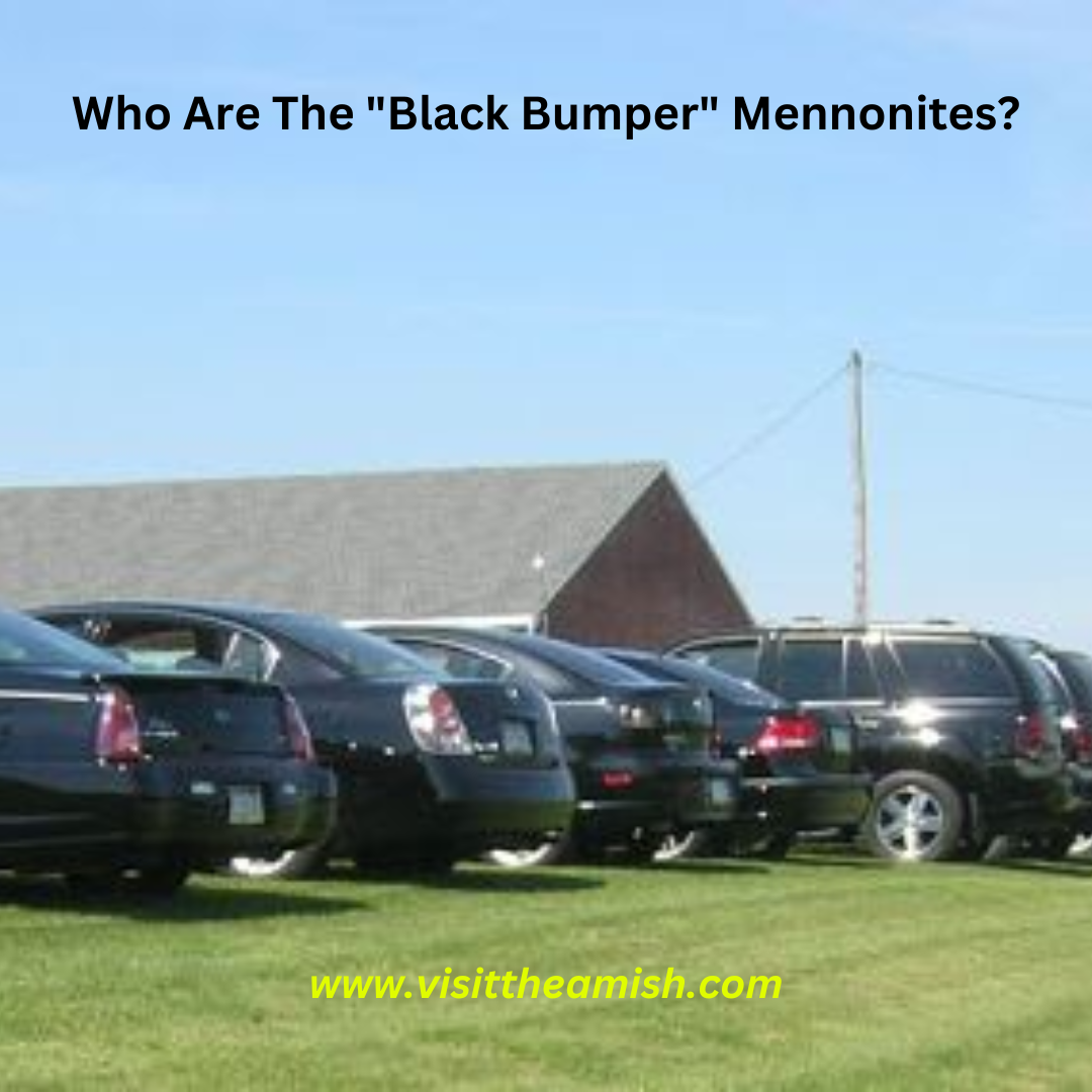 Black Bumper Mennonites