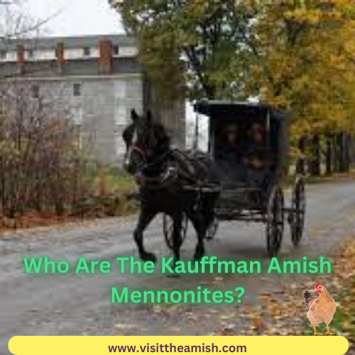 Who Are The Kauffman Amish Mennonites?