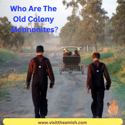 Who Are The Old Colony Mennonites?