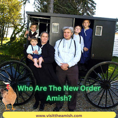 New Order Amish