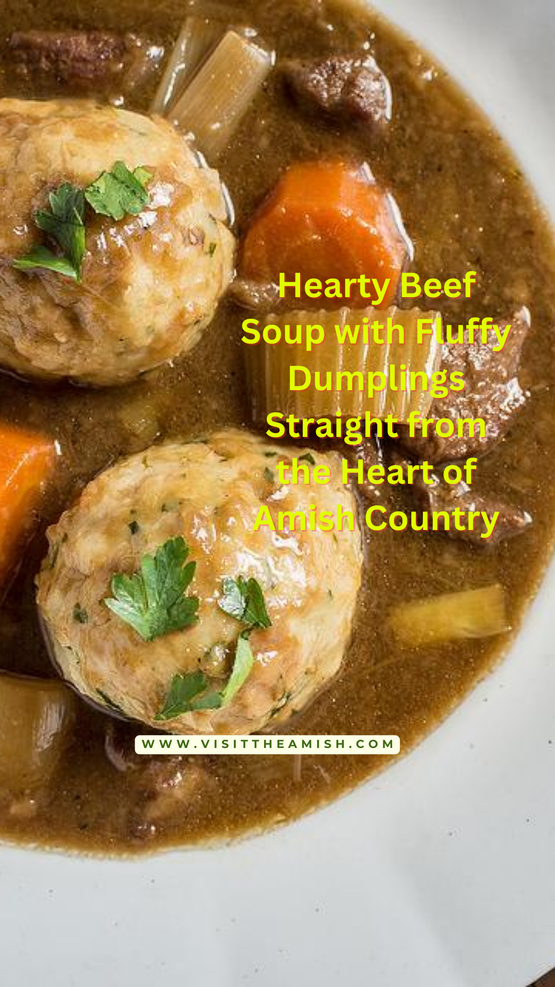 beef soup, dumplings, comfort food, hearty meal, Amish cuisine, traditional recipes, homemade, winter warmers, family dinners