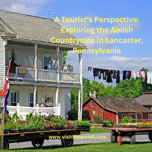 A Tourist's Perspective: Exploring the Amish Countryside in Lancaster, Pennsylvania