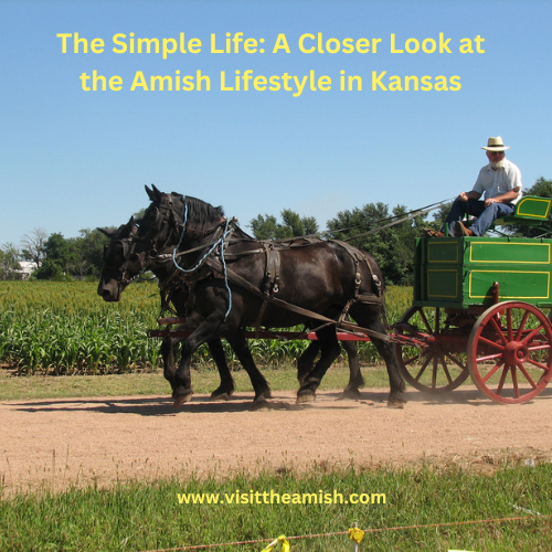 Kansas Amish