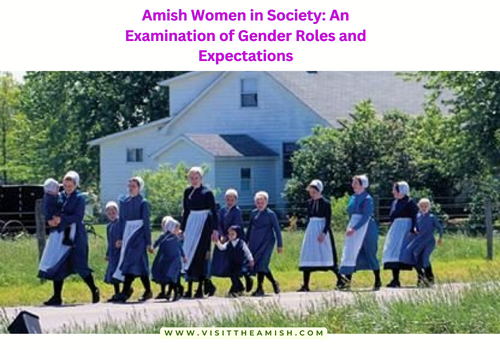 The diversity of Amish womanhood is grounded on three pathways delineated by economic parameters—agrarian small farms, entrepreneurship (small shops to larger businesses), and wage labor. Regardless of these trajectories, Amish women maintain the values that define them as helpmeets and wives.