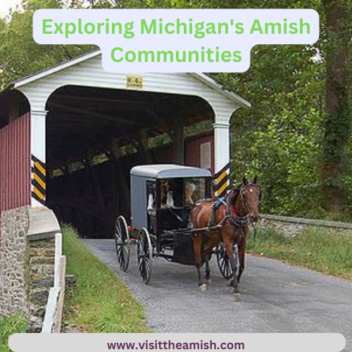 Michigan's Amish