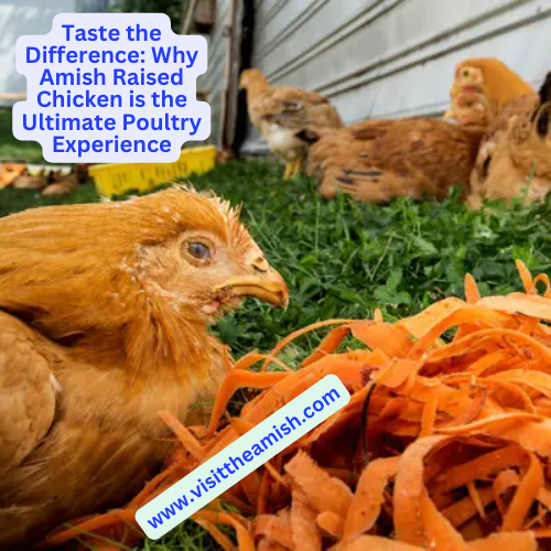 Taste the Difference: Why Amish Raised Chicken is the Ultimate Poultry Experience