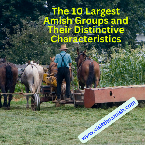 The Top 10 Amish Groups: Their Culture, Beliefs, and Practices