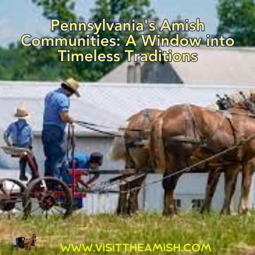 "Pennsylvania's Amish Communities: A Window into Timeless Traditions"