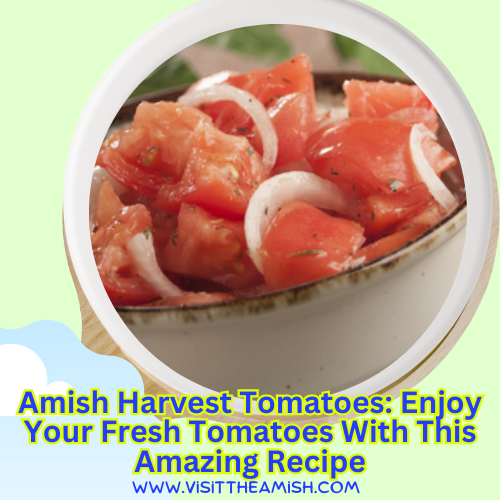 Amish Harvest Tomatoes: Enjoy Your Fresh Tomatoes With This Amazing Recipe