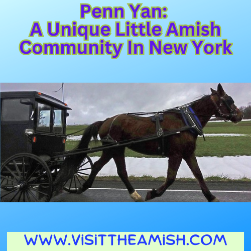 Penn Yan A Unique Little Amish Community In New York