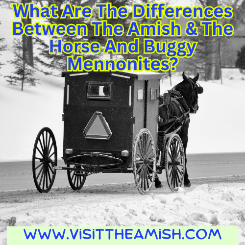 What Are The Difference Between The Amish & The Horse And Buggy Mennonites?