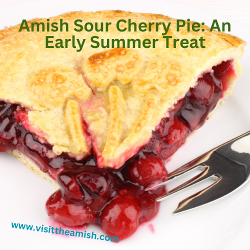 Amish sour cherry pie