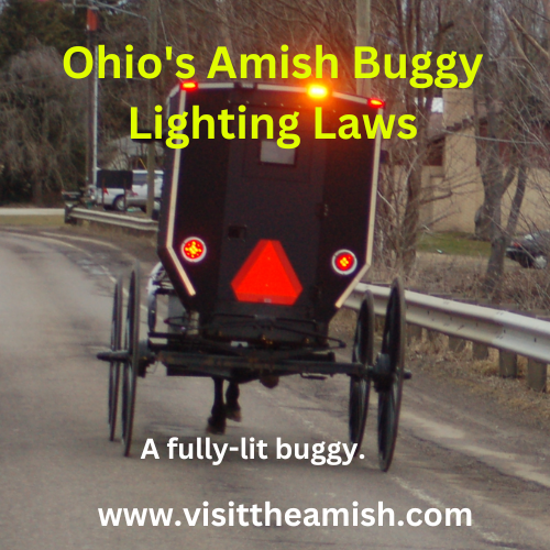 Amish Buggy Lights