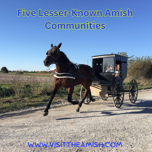 Five Lesser-Known Amish Communities