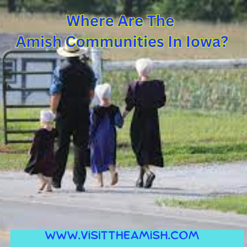 Where Are The Amish Communities In Iowa?