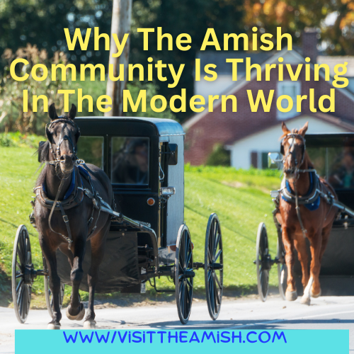 Why The Amish Community Is Thriving In The Modern World