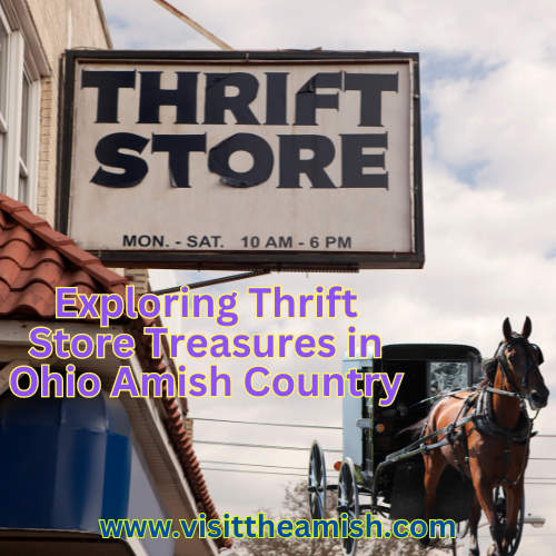 Amish Thrift Stores