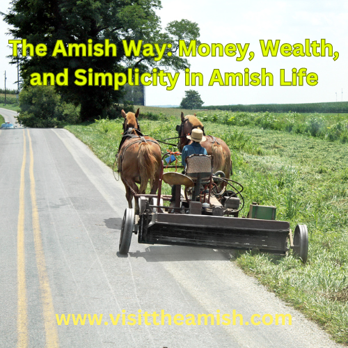 The Amish Way: Money, Wealth, and Simplicity in Amish Life
