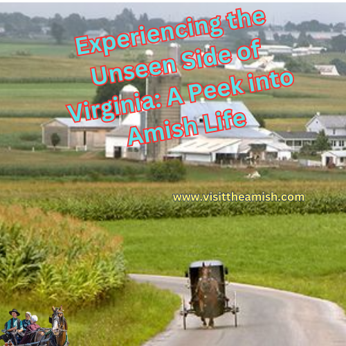 Experiencing the Unseen Side of Virginia A Peek into Amish Life